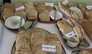 Dzień chleba w ZSCKR Nowy Targ