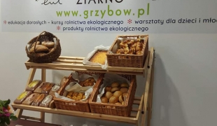 ZS CKR w Sędziejowicach podczas BioExpo