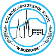 Logo Dolnośląski Zespół Szkół w Bożkowie