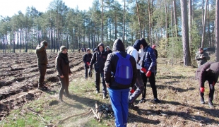 Uczniowie ZS CKR w Starym Lubiejewie sadzili las w leśnictwie Biel